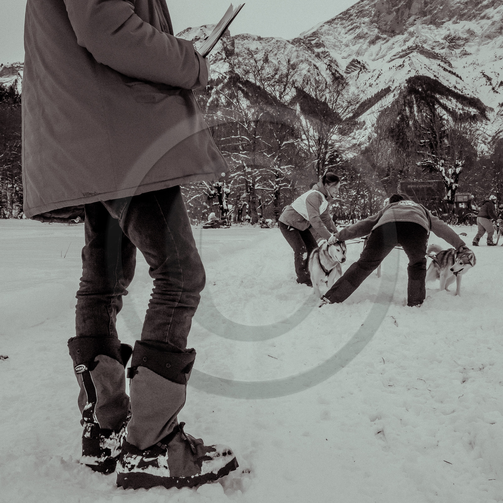 La Valgaude Traineau 2015