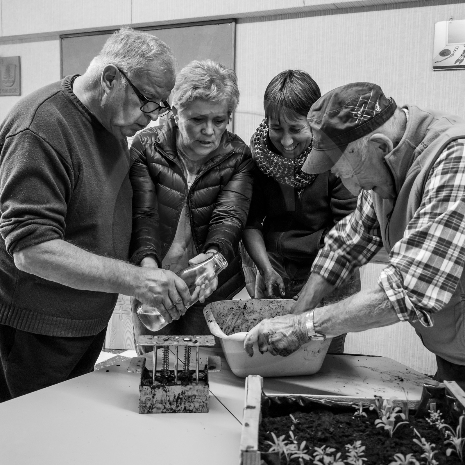 Atelier repiquage et semis - 26 04 2017