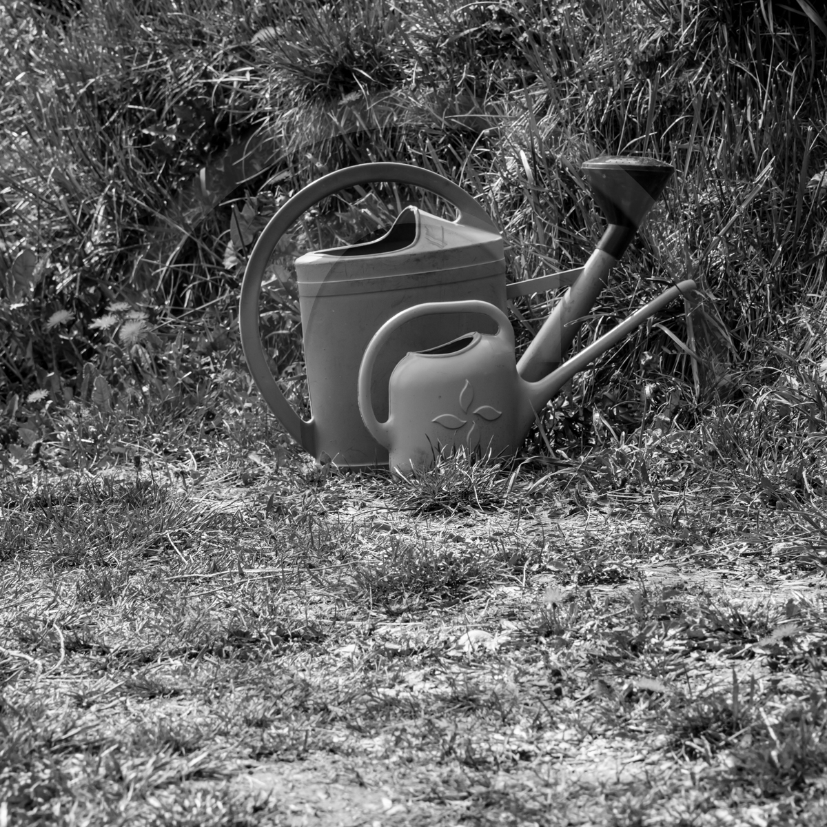 24 avril 2023 : Journée des aidants et des aidés