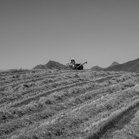 Les moissons dans le Champsaur