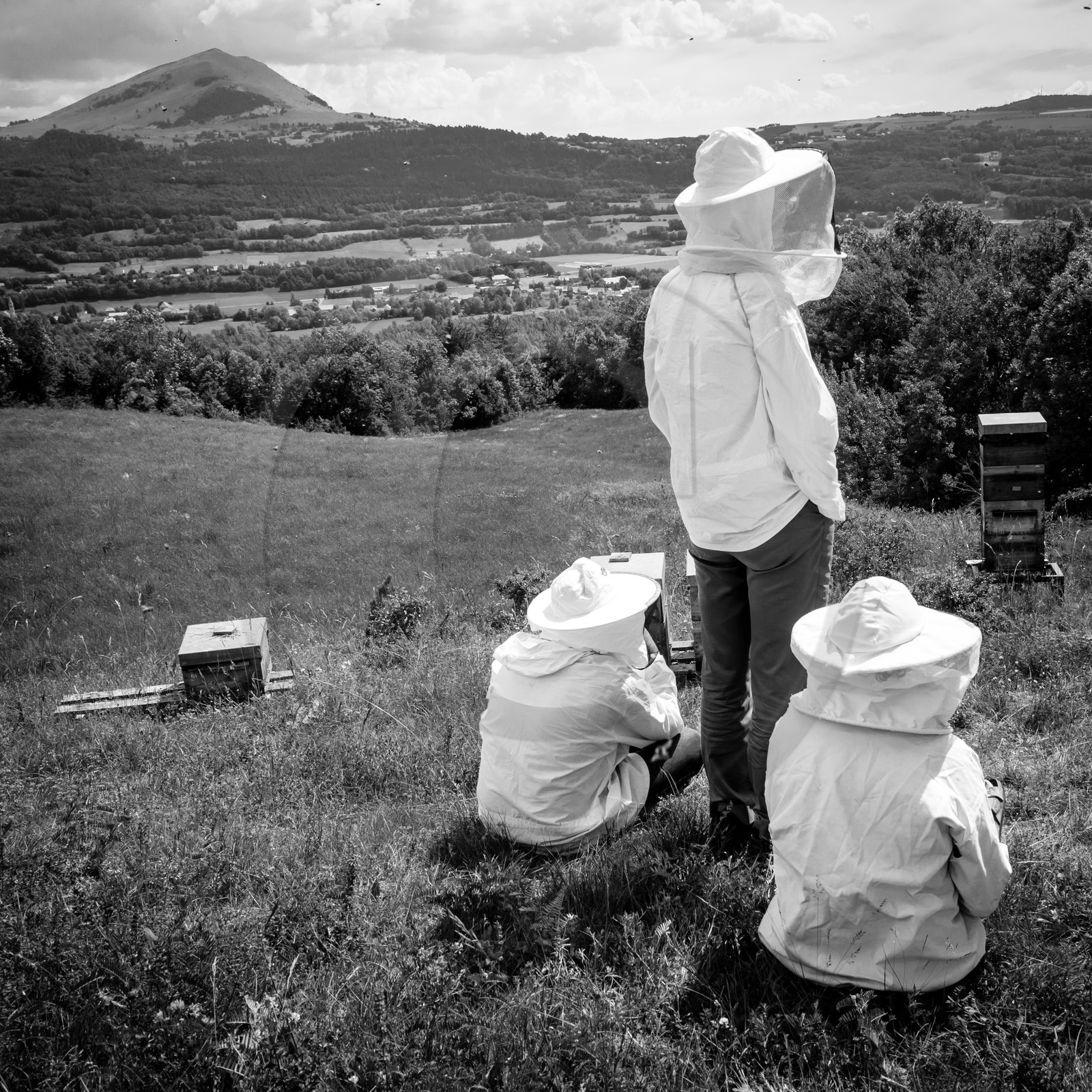 Visite au Rucher des Noisetiers