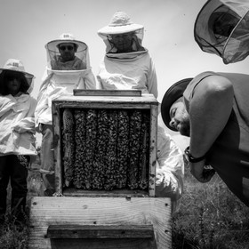 Visite au Rucher des Noisetiers