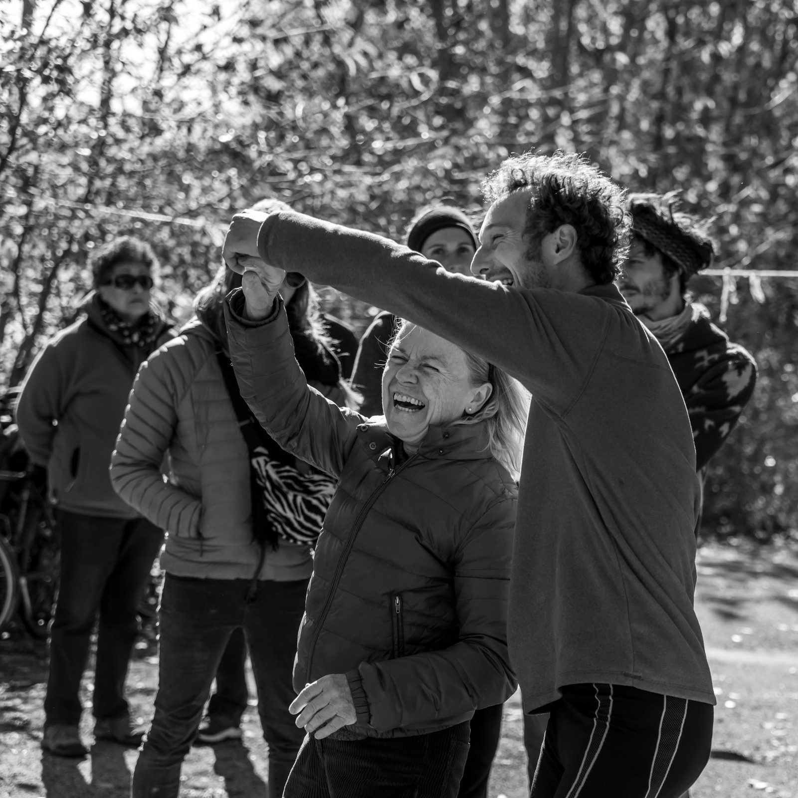 26 octobre 2025 : Les oiseaux de trottoir