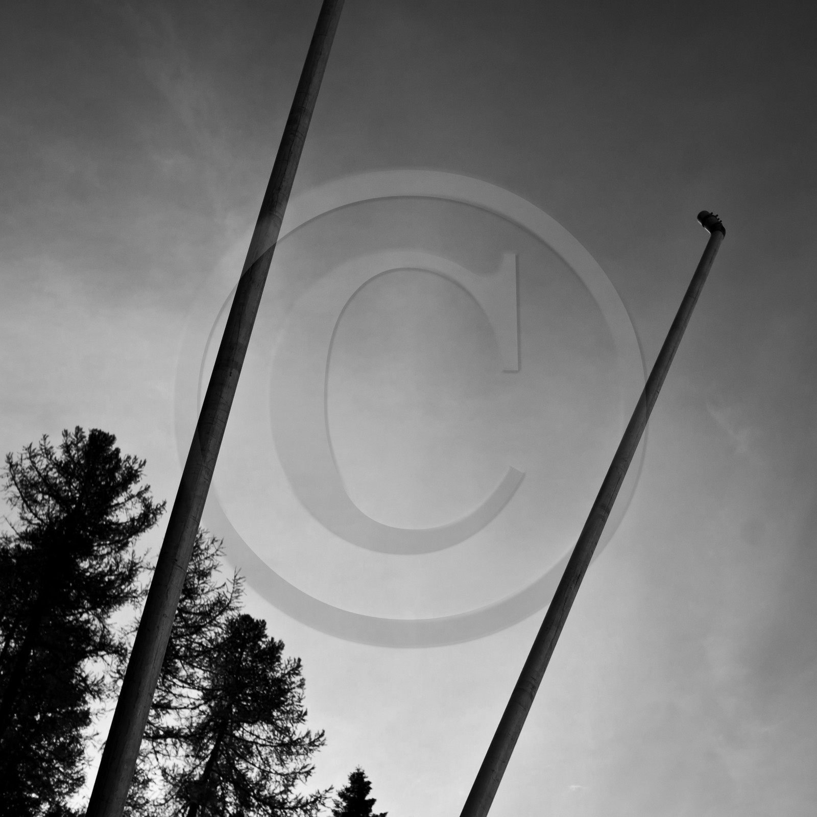 En attendant la neige