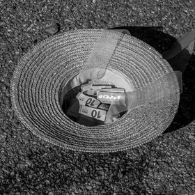 26 octobre 2025 : Les oiseaux de trottoir