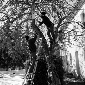 06 février 2019 : la pose des nichoirs