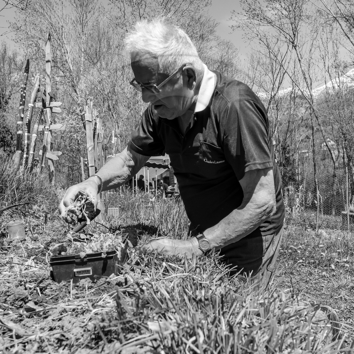 Atelier laine et promenade au jardin Atelier laine et promenade au jardin