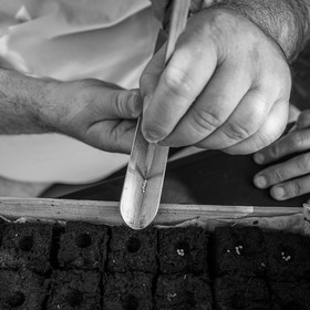 06 septembre 2023 : laine, couture et semis