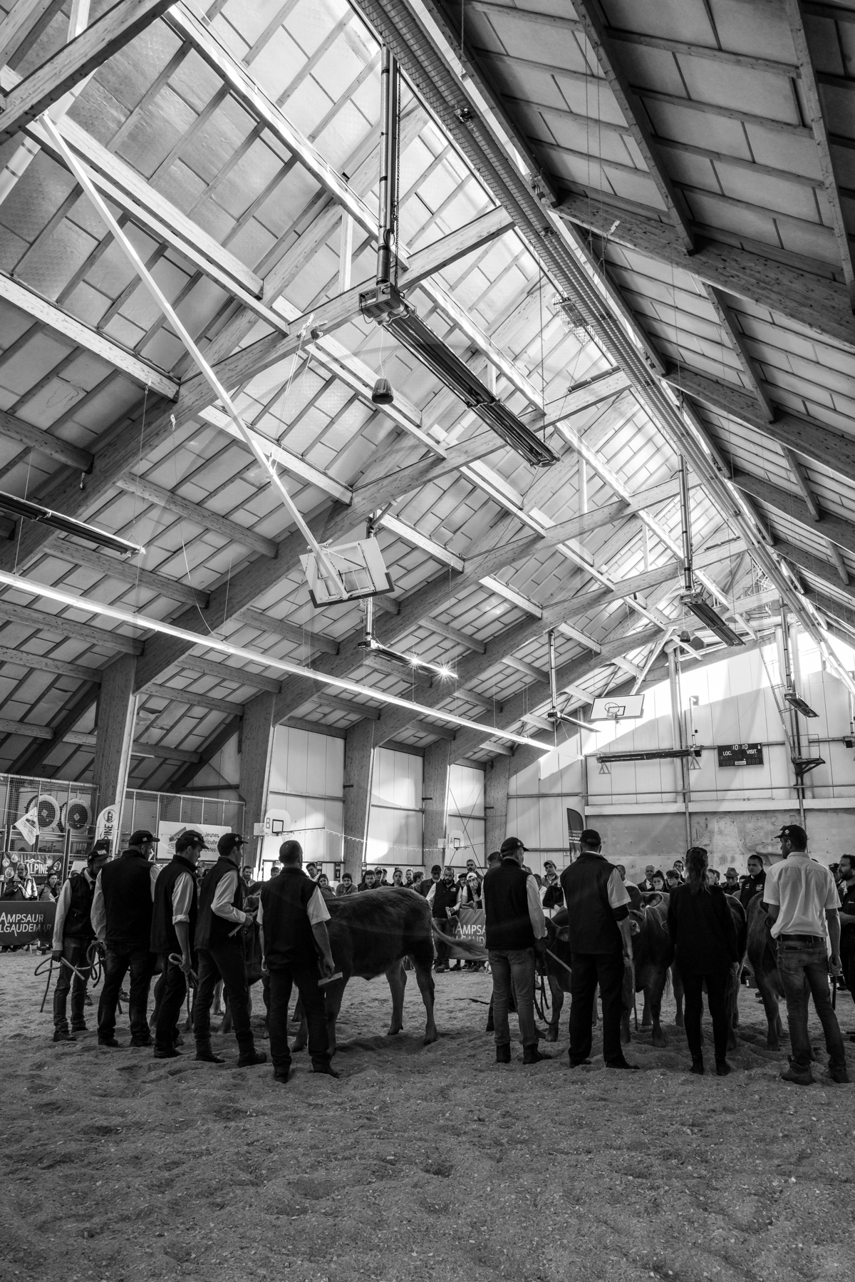 Rencontres paysannes à Saint-Bonnet en Champsaur