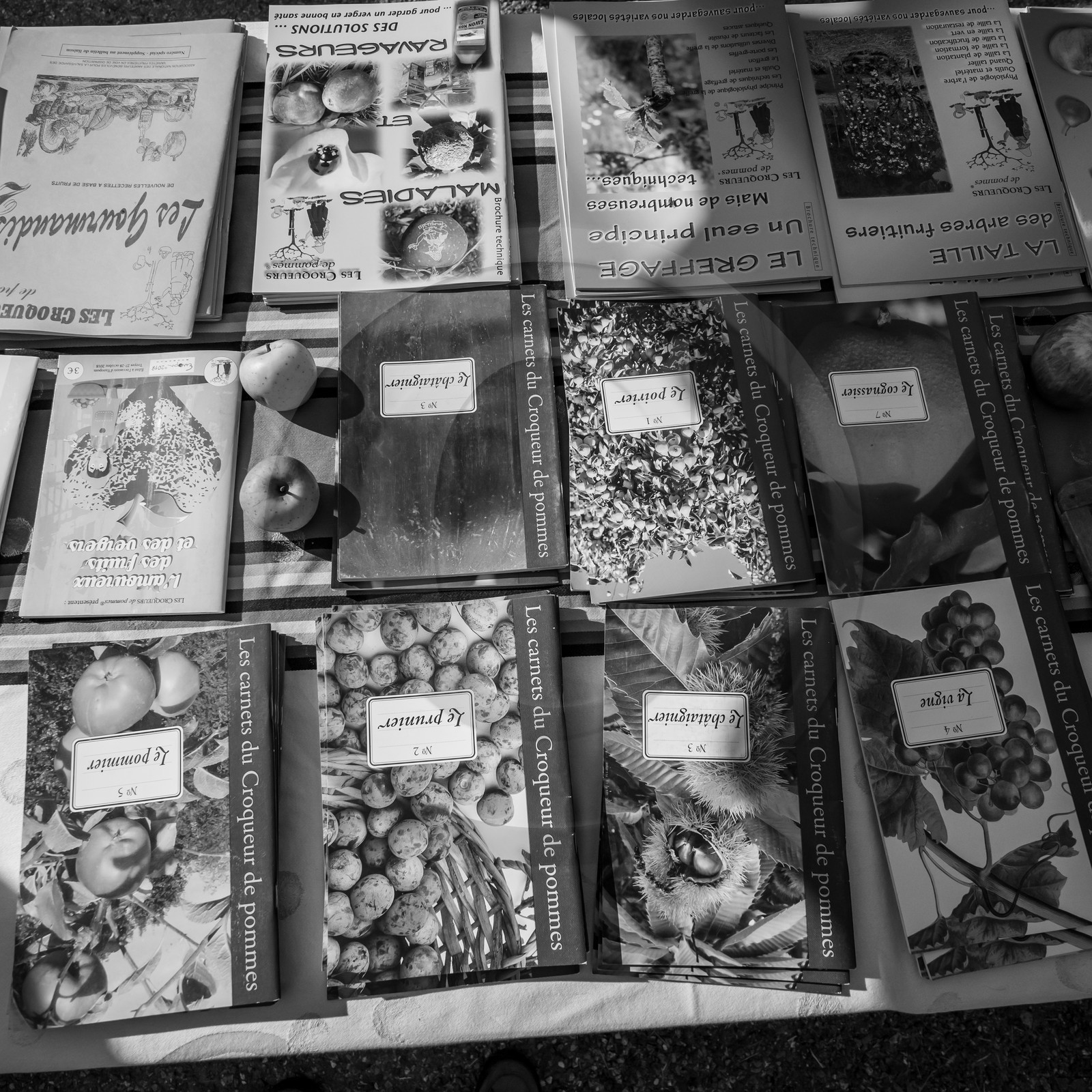 24 octobre 2021 : Fais ta soupe et ramène ta pomme