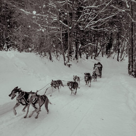 La Valgaude Traineau 2015