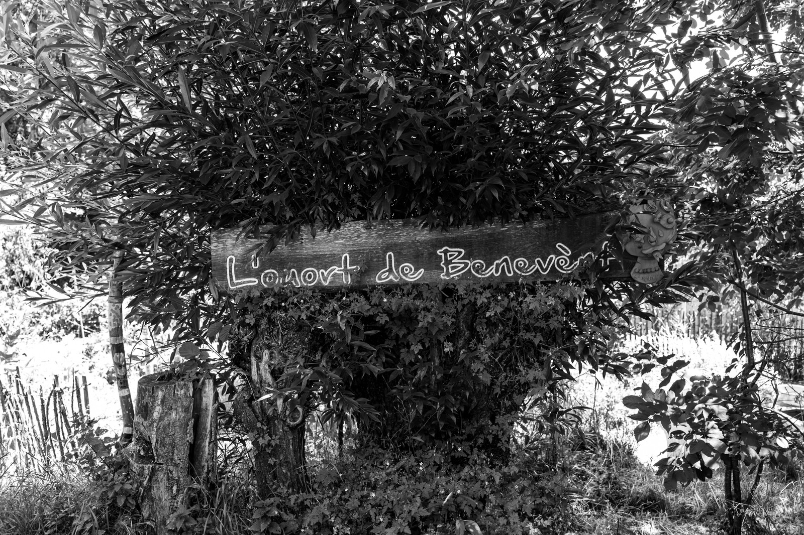 16 juillet 2025 : Les Triplettes