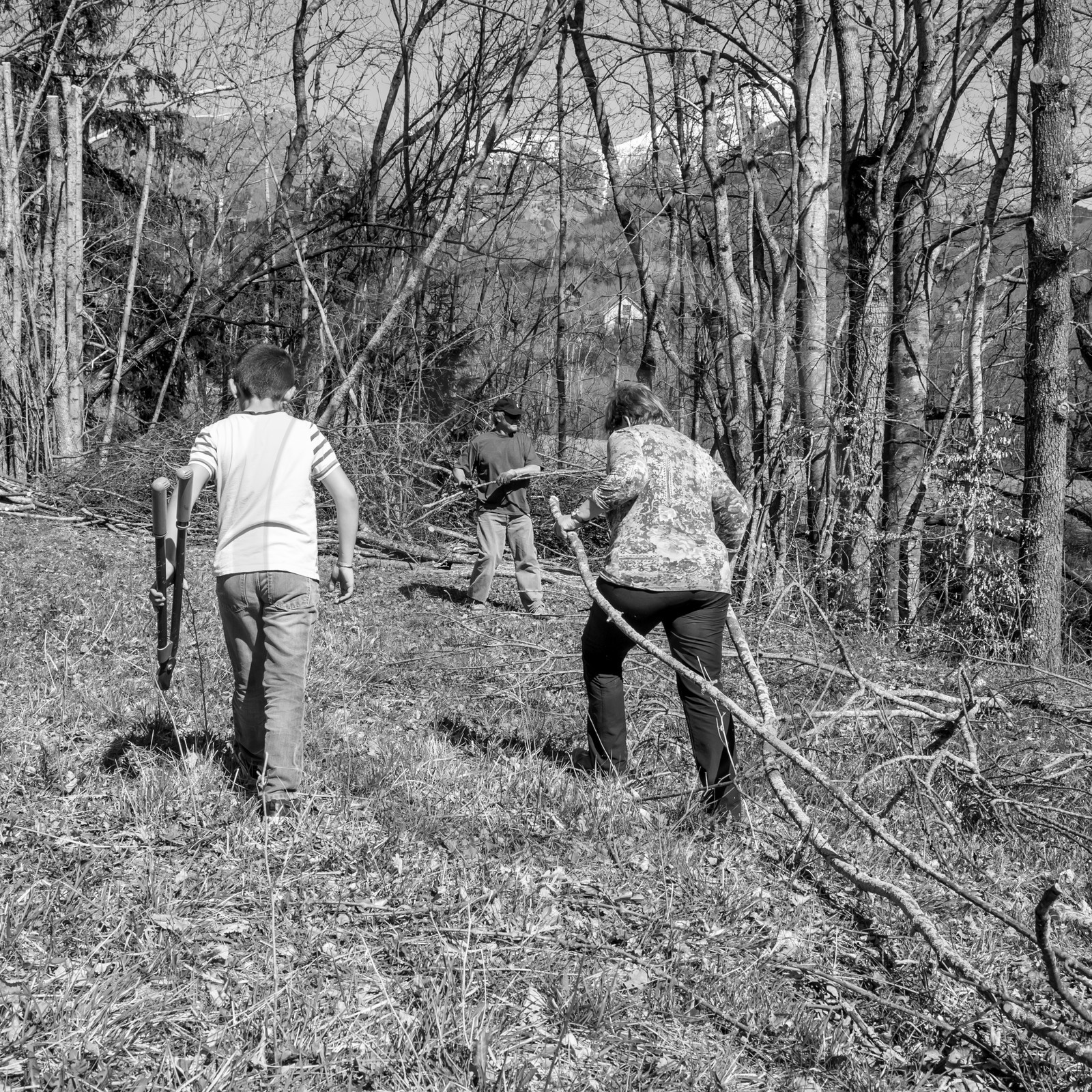 Nettoyage du terrain - Coupe du bois - 29 03 17