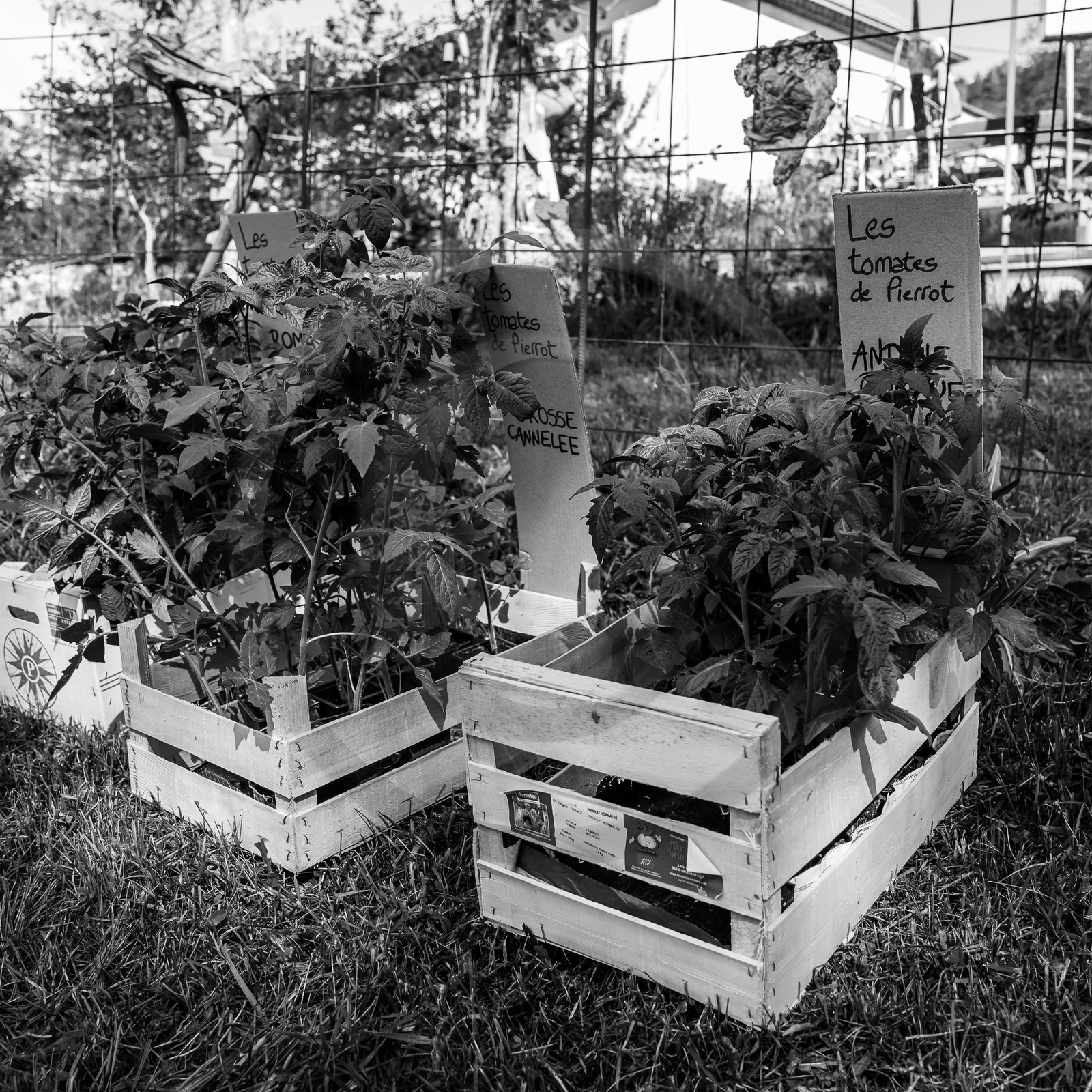 14 mai 2023 : Vide-Jardin