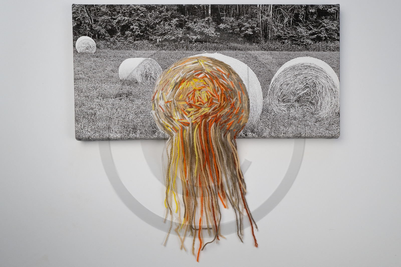 Exposition L comme laine, lien, lieu conçue par l'Ouort de Benevènt, sous la houlette de Claudine Meyer, artiste plasticienne, accompagnée de photographies de Denis Lebioda. Une proposition de la Communauté de Communes du Champsaur - Valgaudemar et de son service culturel.