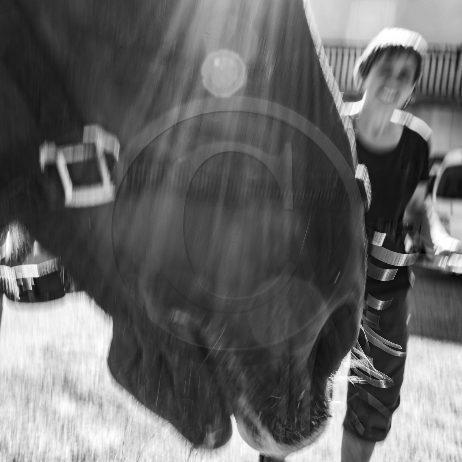 01 septembre 2021 : Promenade en cariole et contes