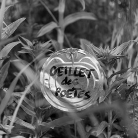 16 mai 2025 : Journée des aidants