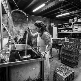 Maraichage biologique dans le Champsaur