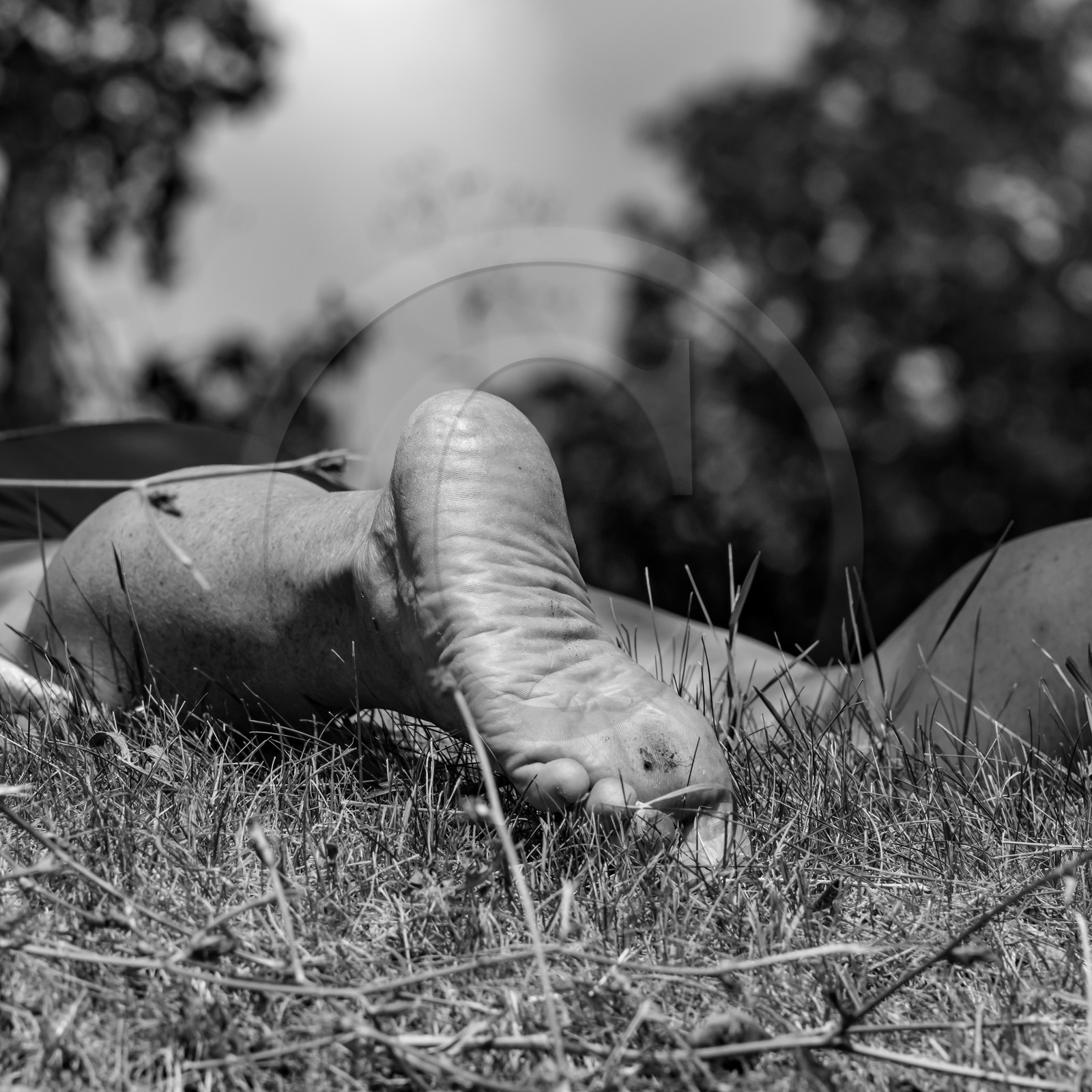 21 juillet 2021 : Sieste musicale avec Matthieu Duval 21 juillet 2021 : Sieste musicale avec Matthieu Duval