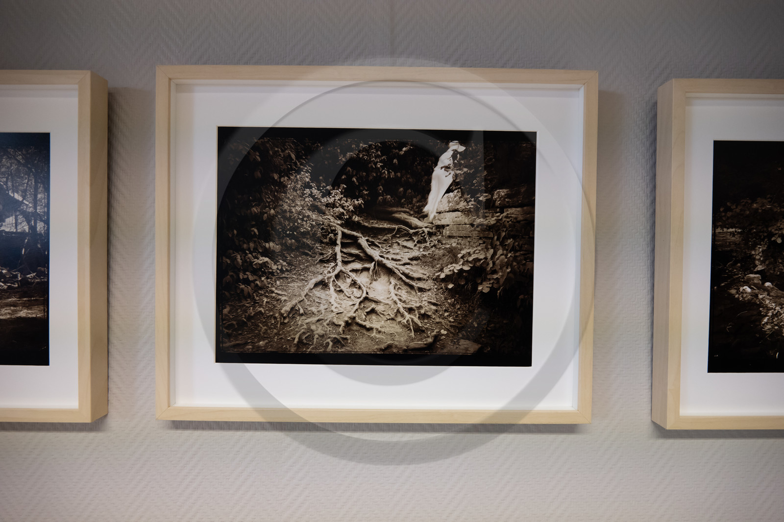 Automne photographique en Champsaur 2019 - Henri Bosco