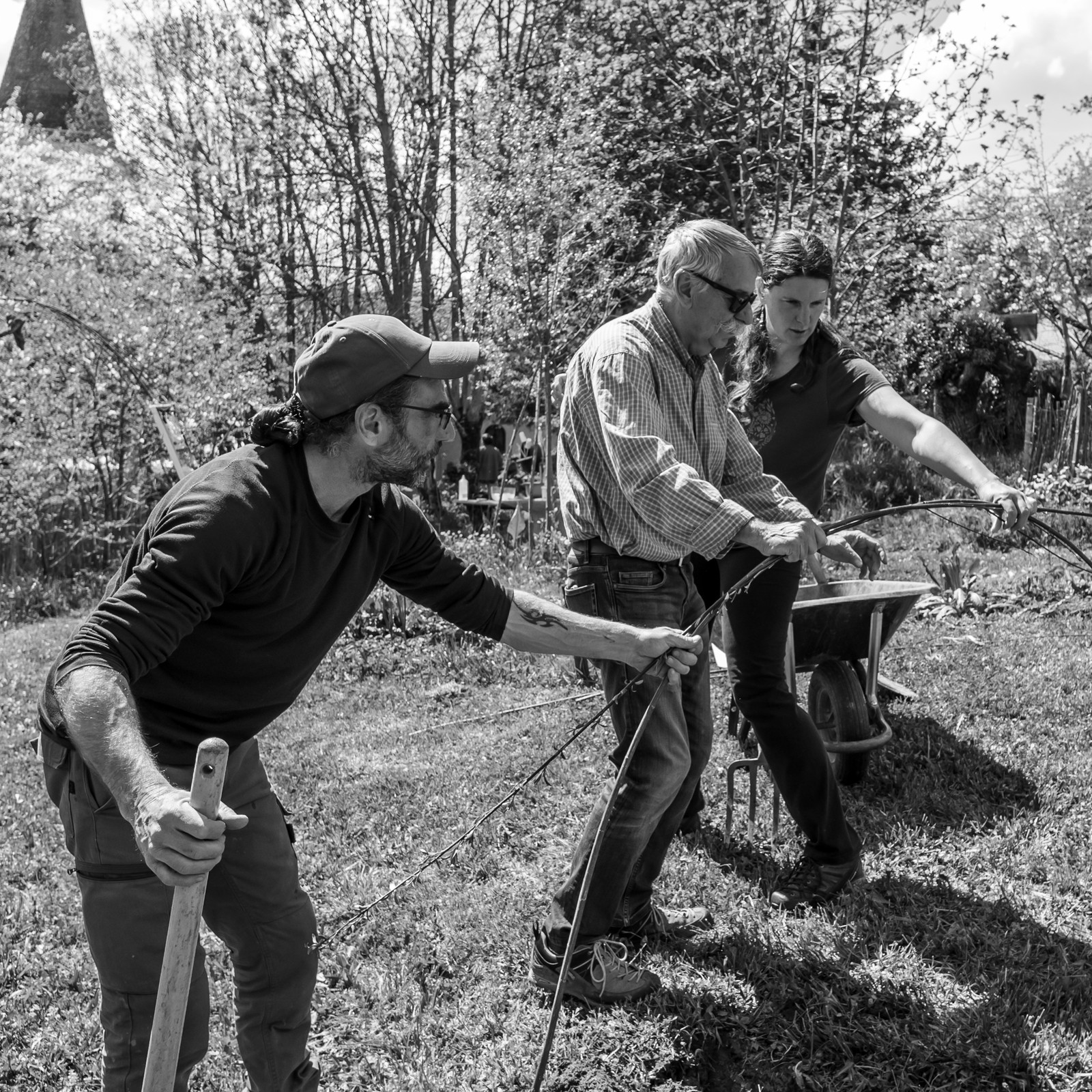 30 avril 2025 : Un oiseau en osier