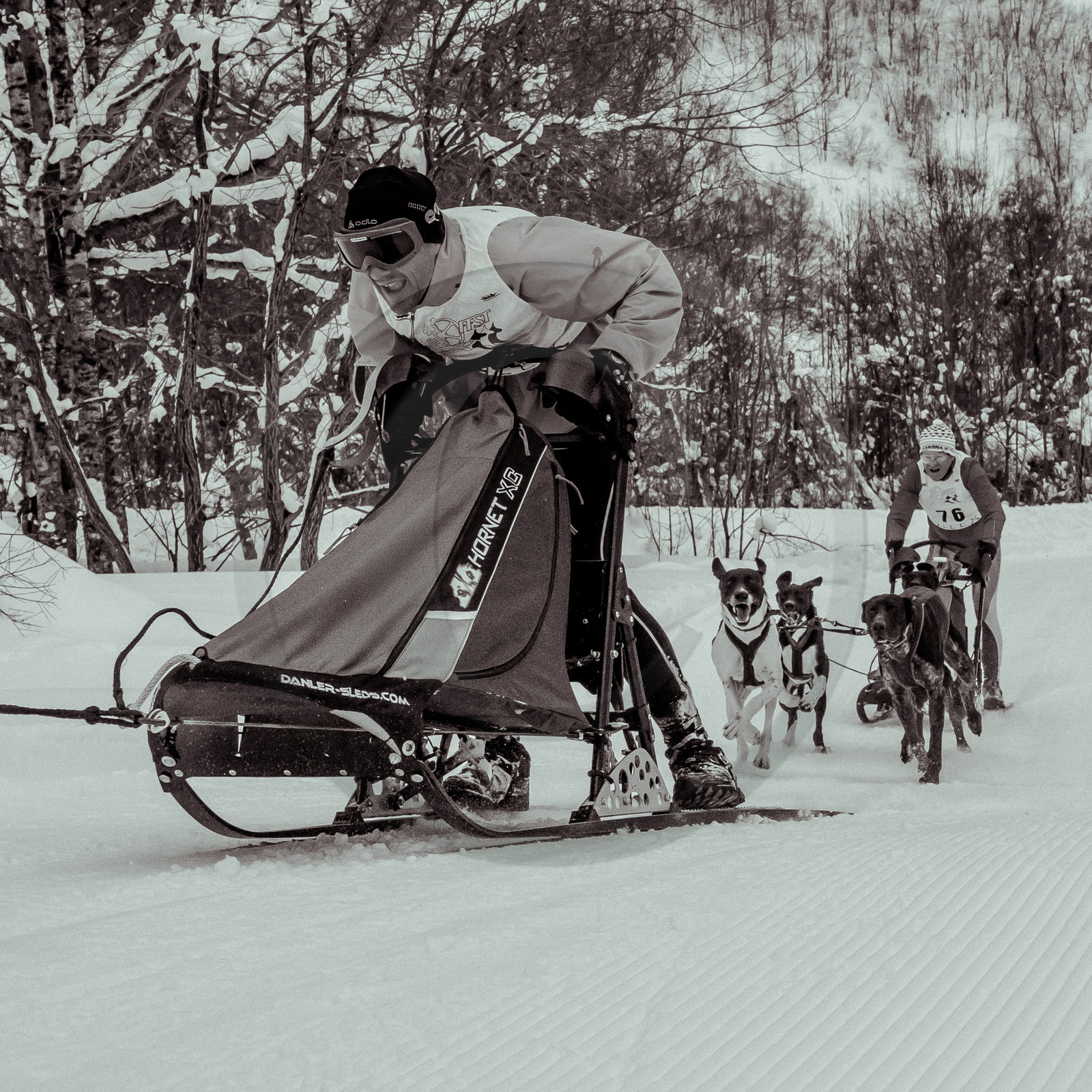 La Valgaude Traineau 2015