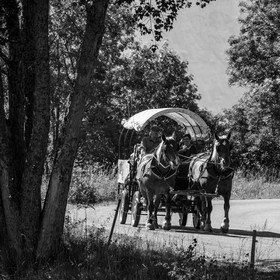 01 septembre 2021 : Promenade en cariole et contes