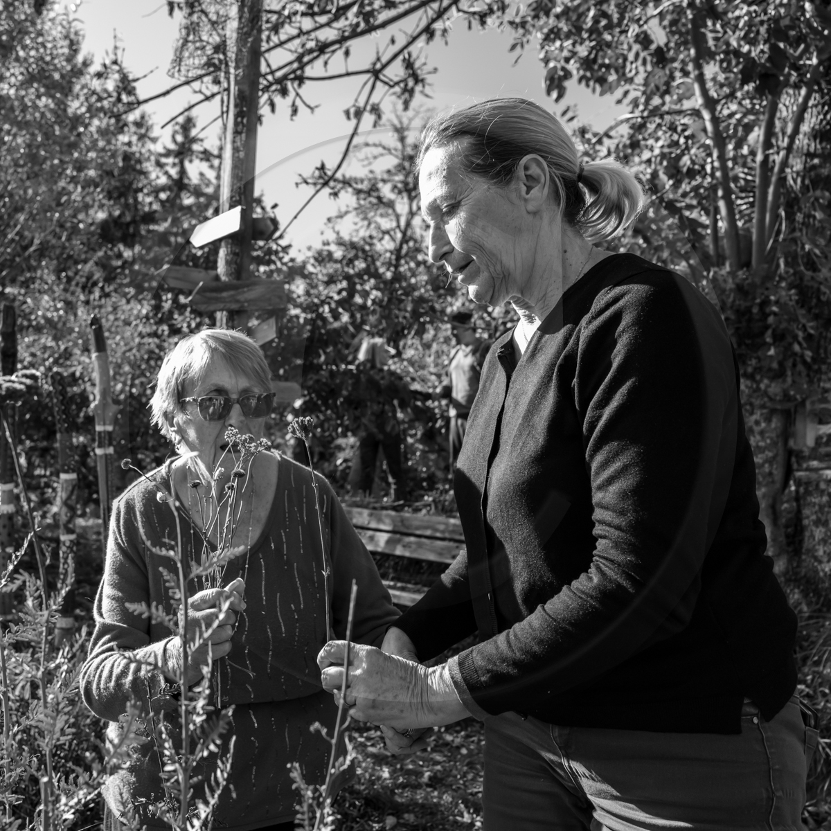 26 octobre 2022 : dernier mercredi de la saison à l'Ouort 26 octobre 2022 : dernier mercredi de la saison à l'Ouort