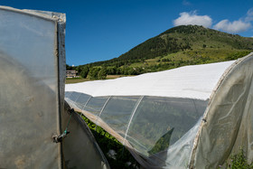 Légumontagne : maraichage biologique à Ancelle