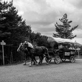 Promenade en calèche et contes