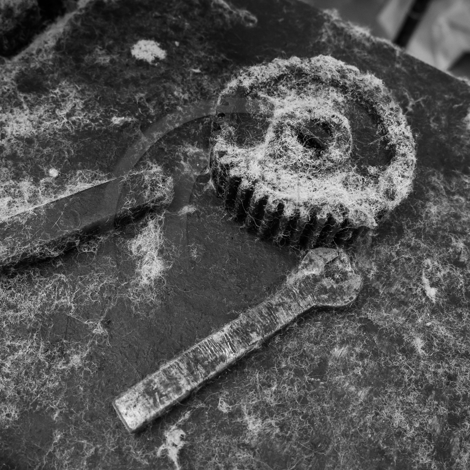 La Filature du Valgaudemar