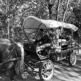 25 septembre 2019 : Promenade en calèche