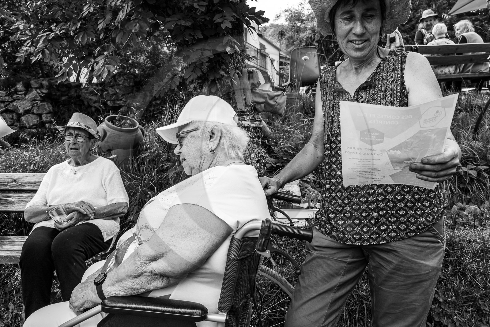 21 juin 2023 : Découverte botanique 21 juin 2023 : Découverte botanique