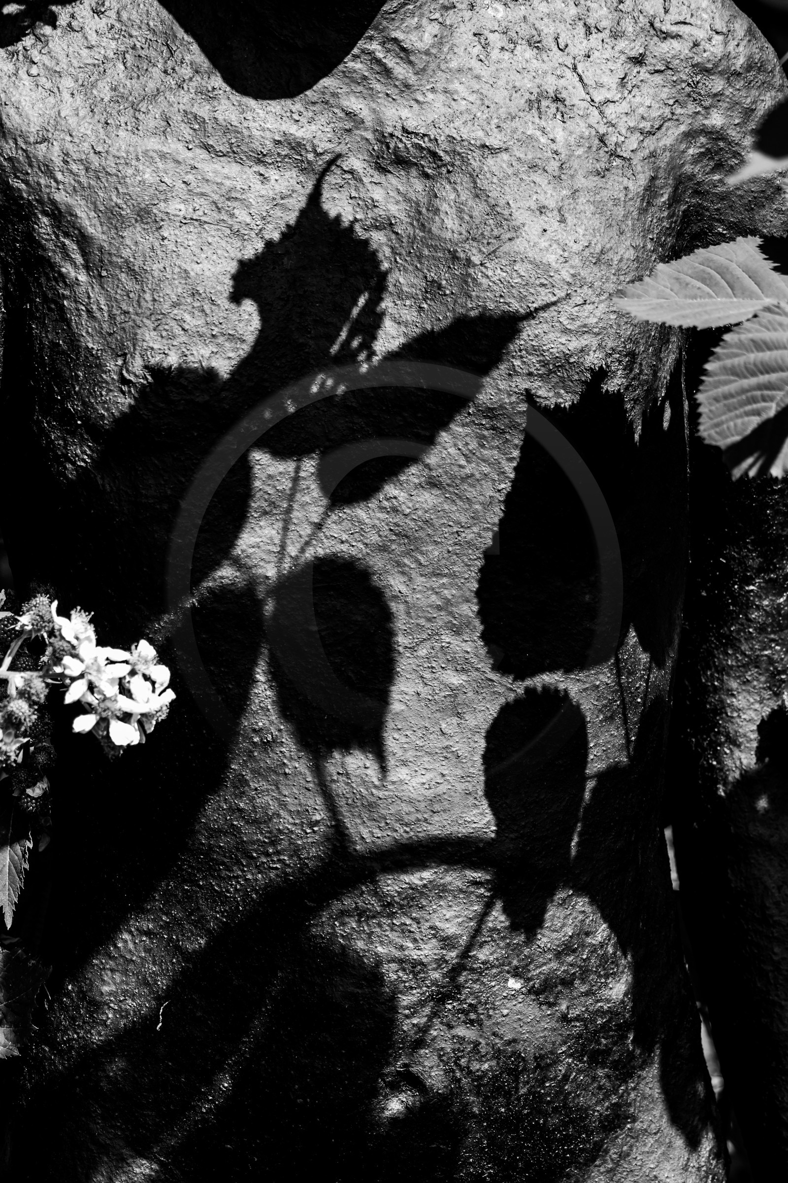 Exposition La forêt d'hommes, une création de Barbara Fougnon, artiste plasticienne