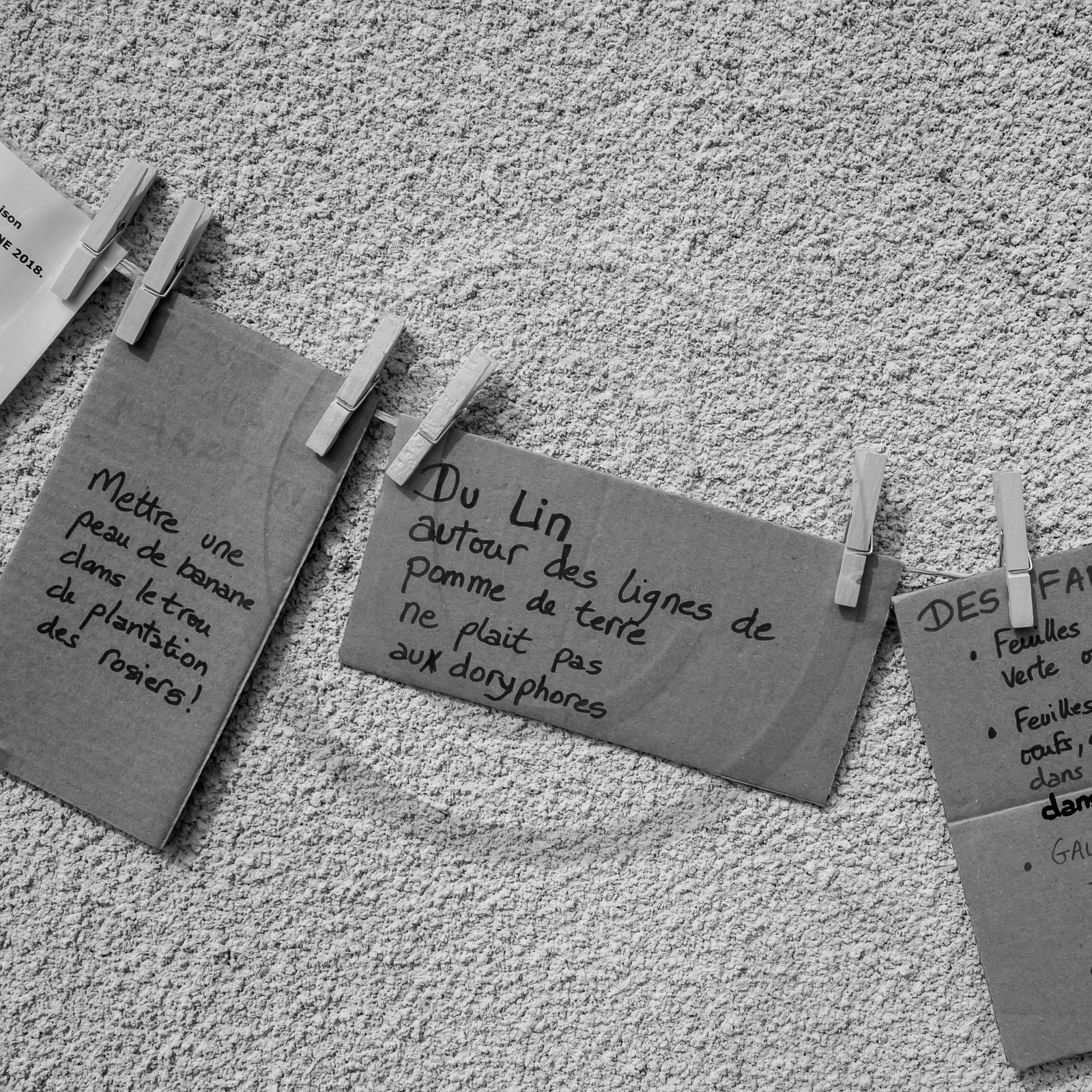 25 mai 2019 : Vide-Jardin de l'Ouort de Benevènt