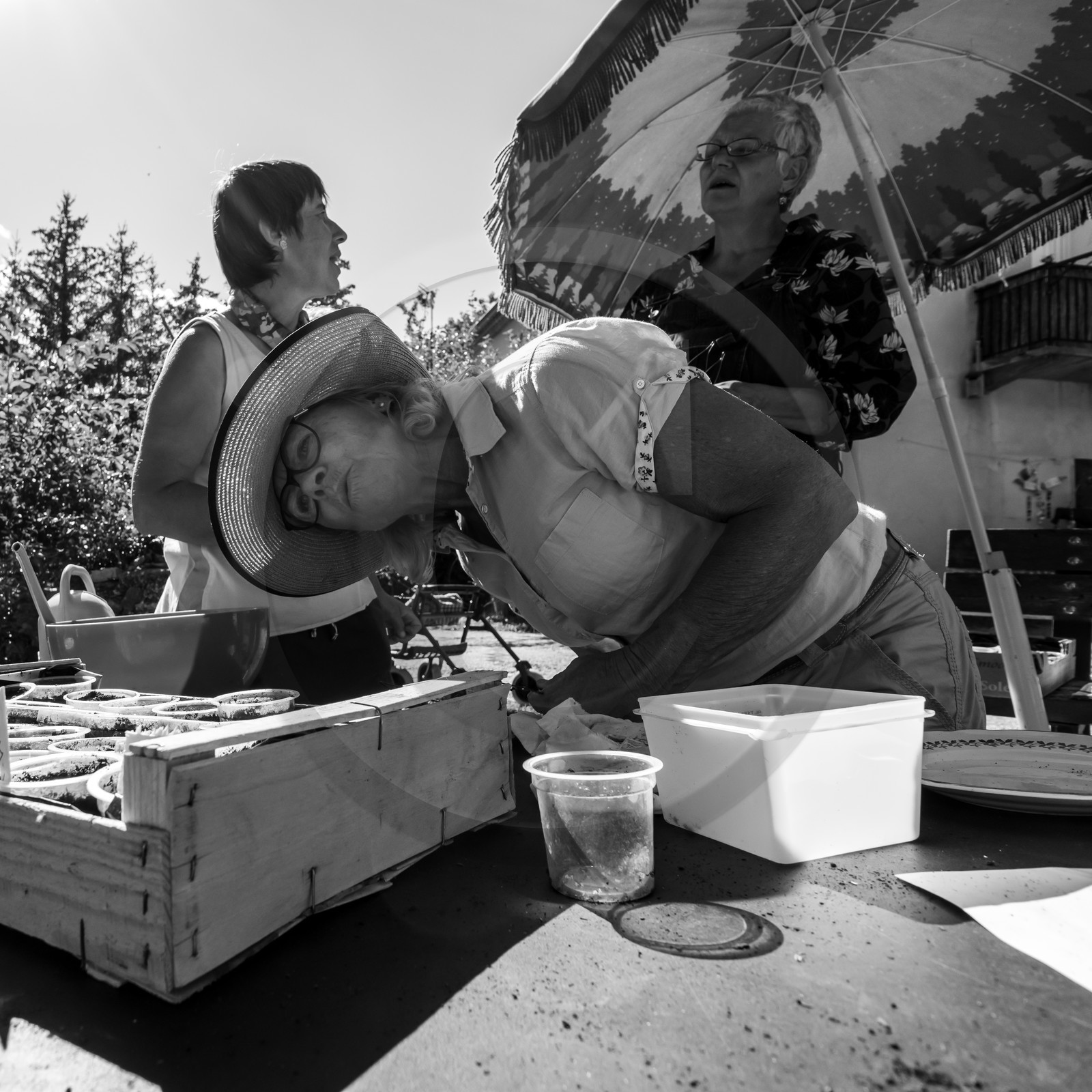 Activités au jardin