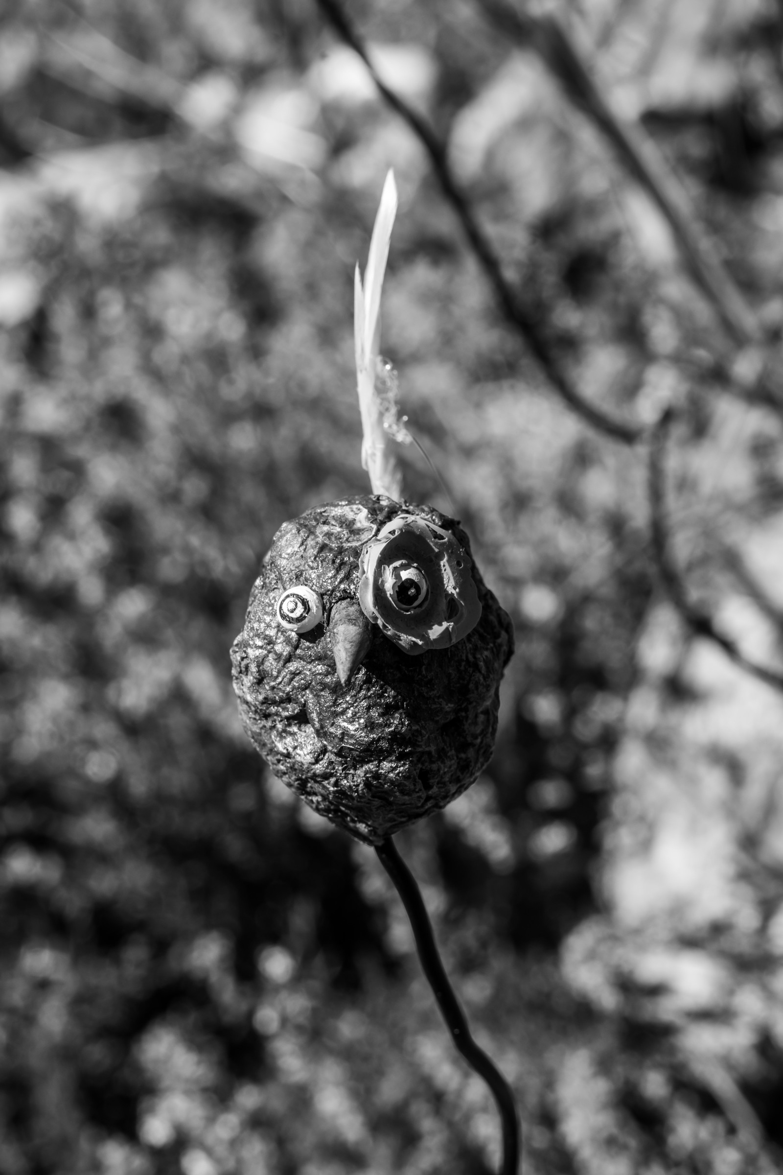 16 juillet 2025 : Les Triplettes