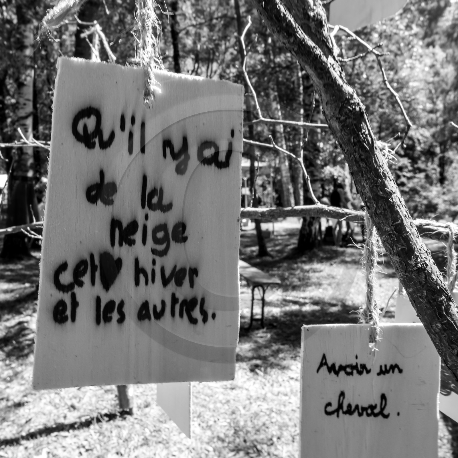 L'écho des mots