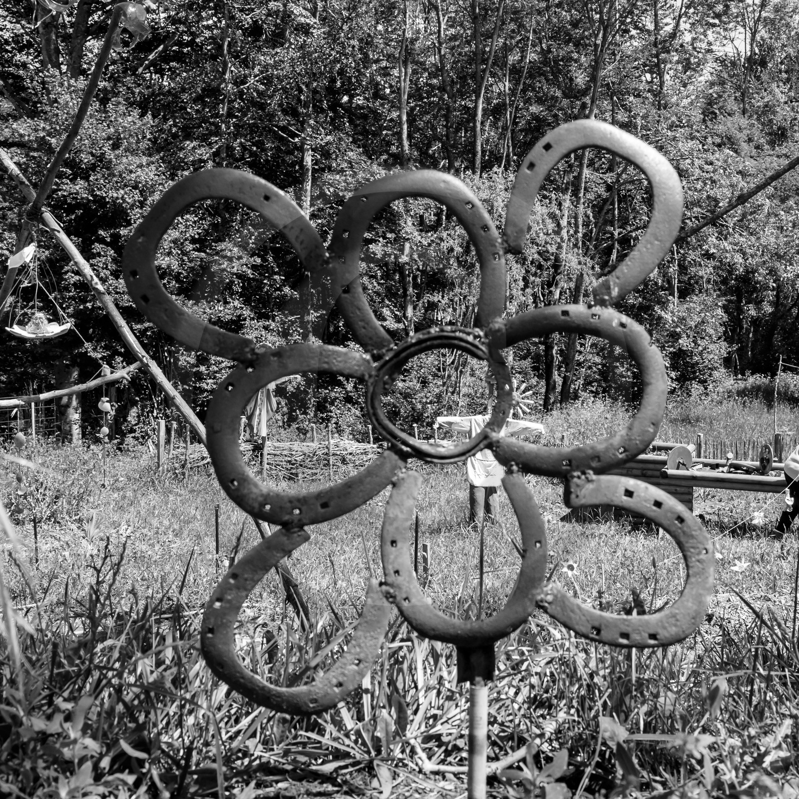 12 juin 2019 : Après-midi au jardin 12 juin 2019 : Après-midi au jardin