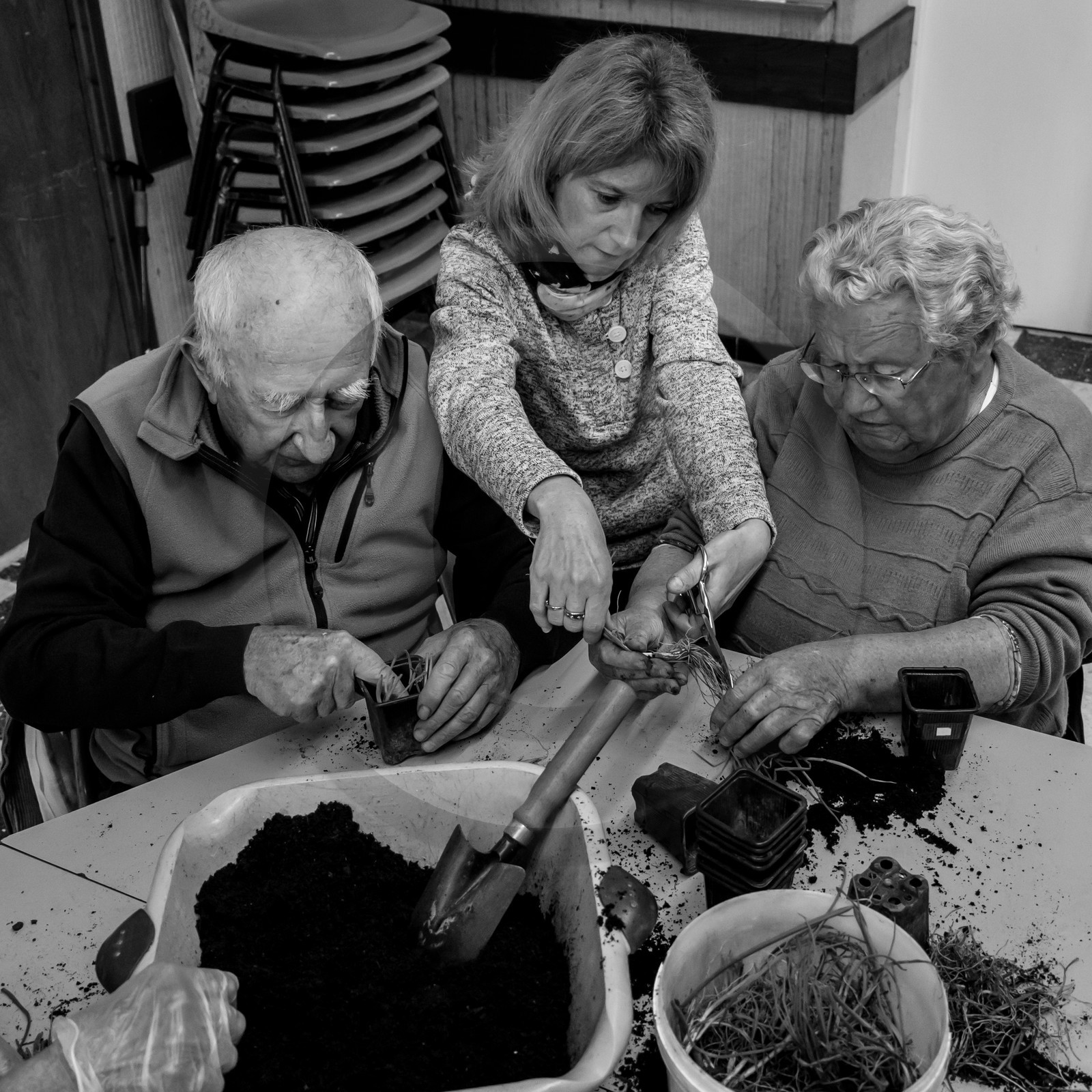 Atelier repiquage de plants de ciboulettes - 05 04 2017