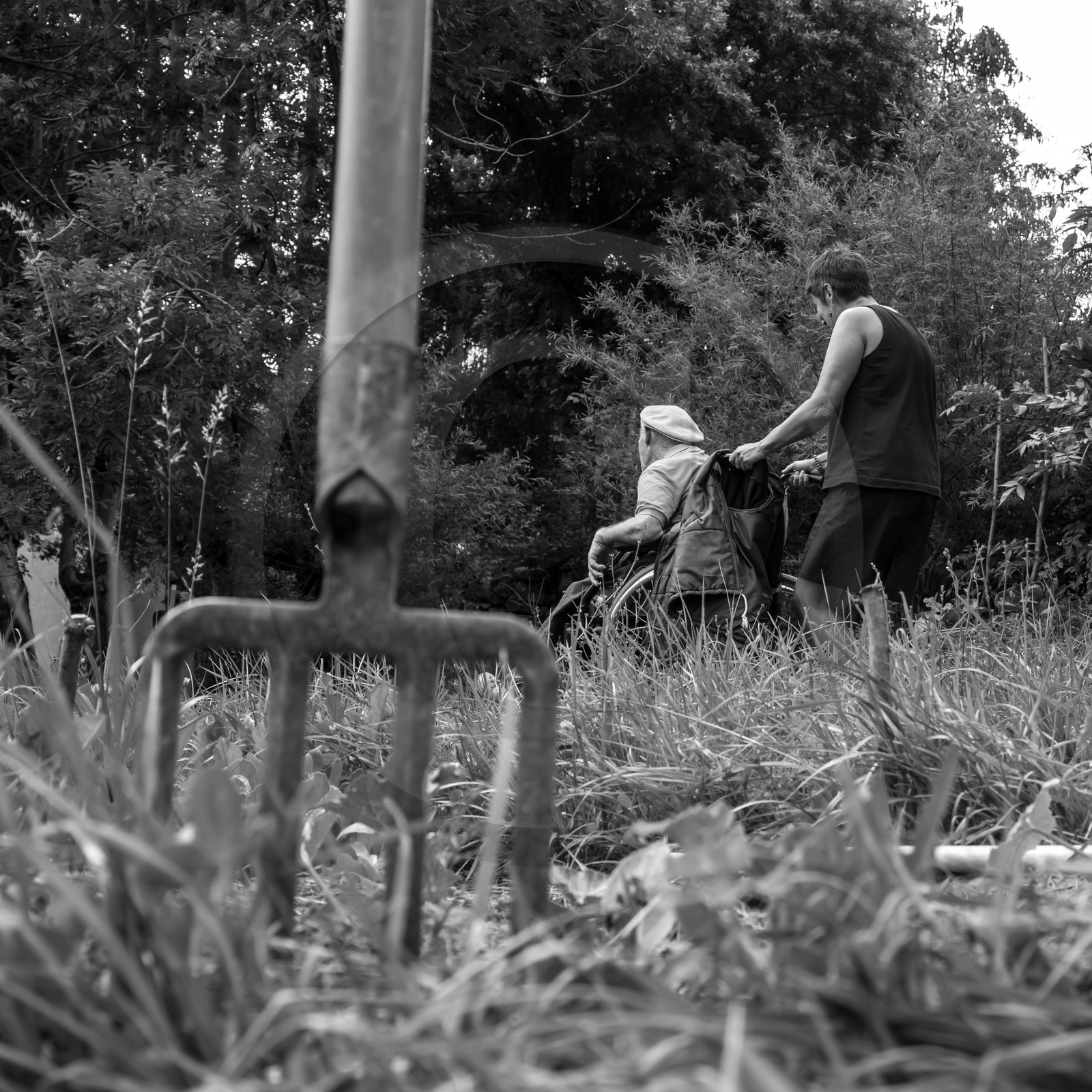 Une après-midi au jardin