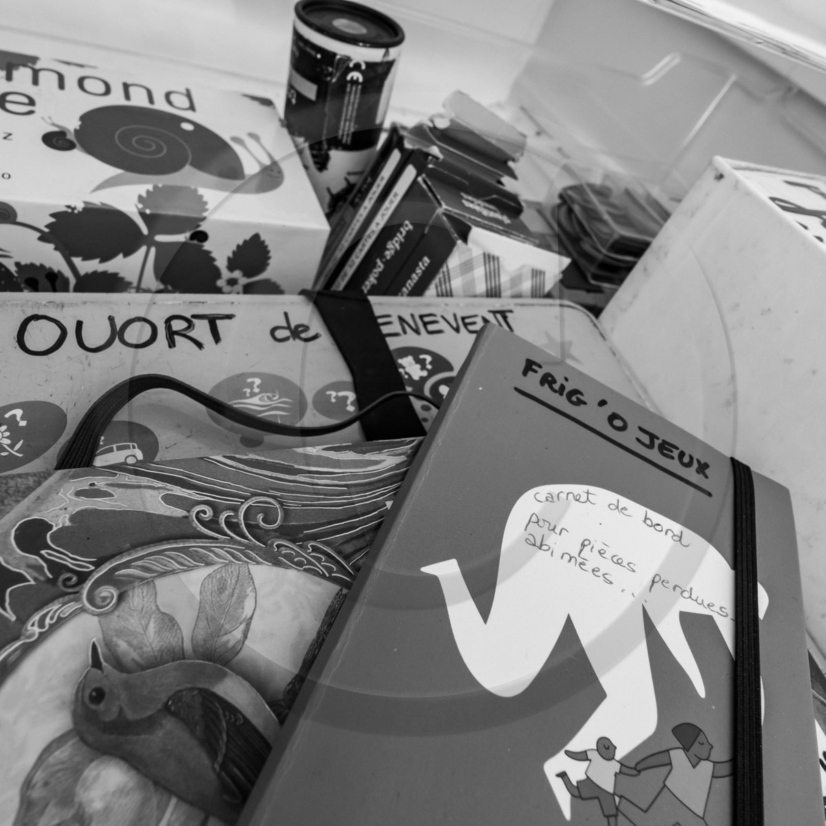 Atelier laine et promenade au jardin