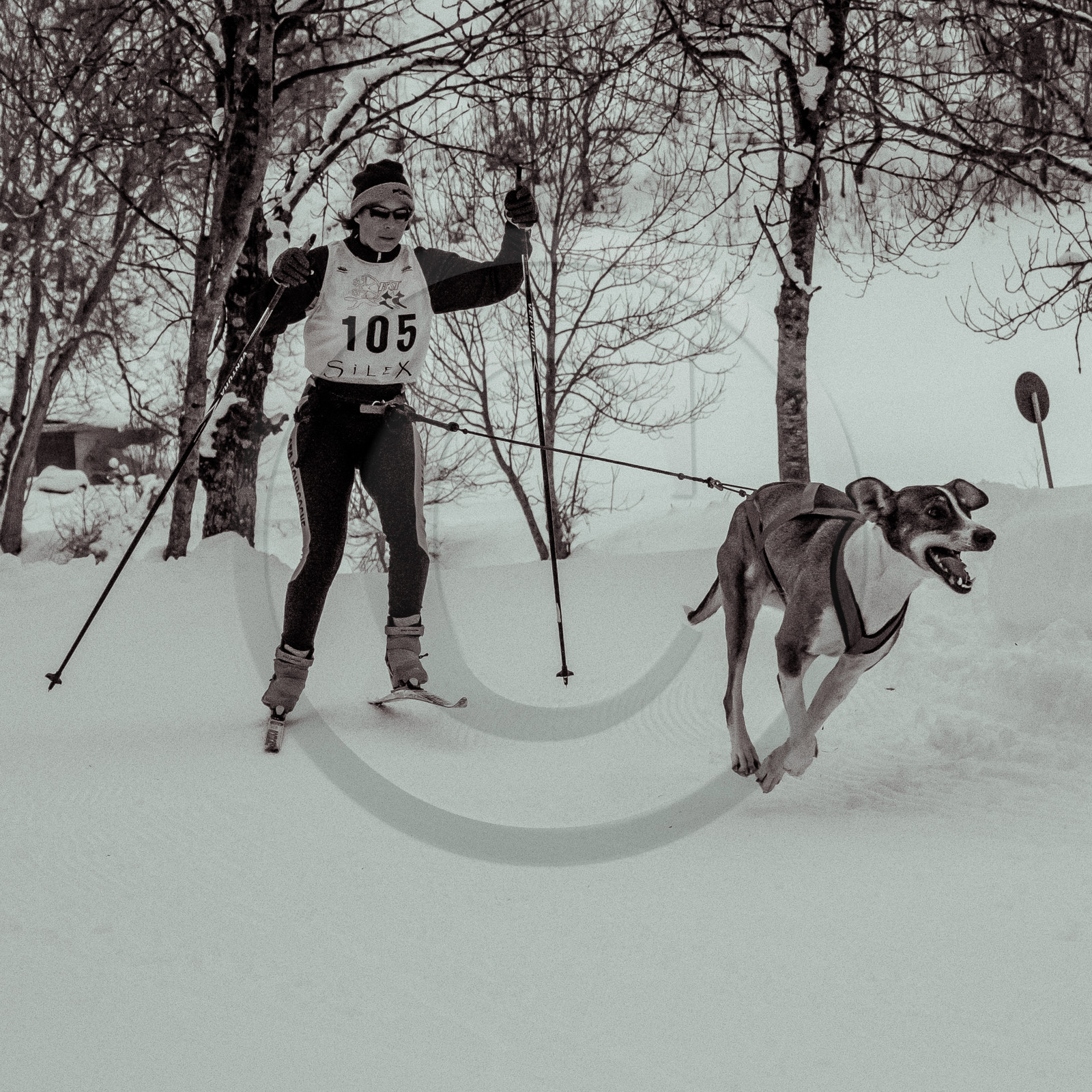 La Valgaude Traineau 2015