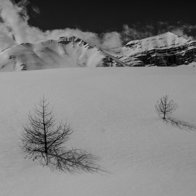 Neige au Col de Vars