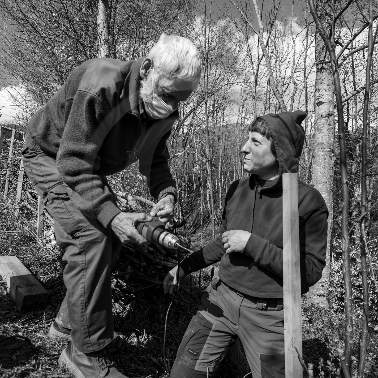 14 avril 2021 : collages, taille, jardinage