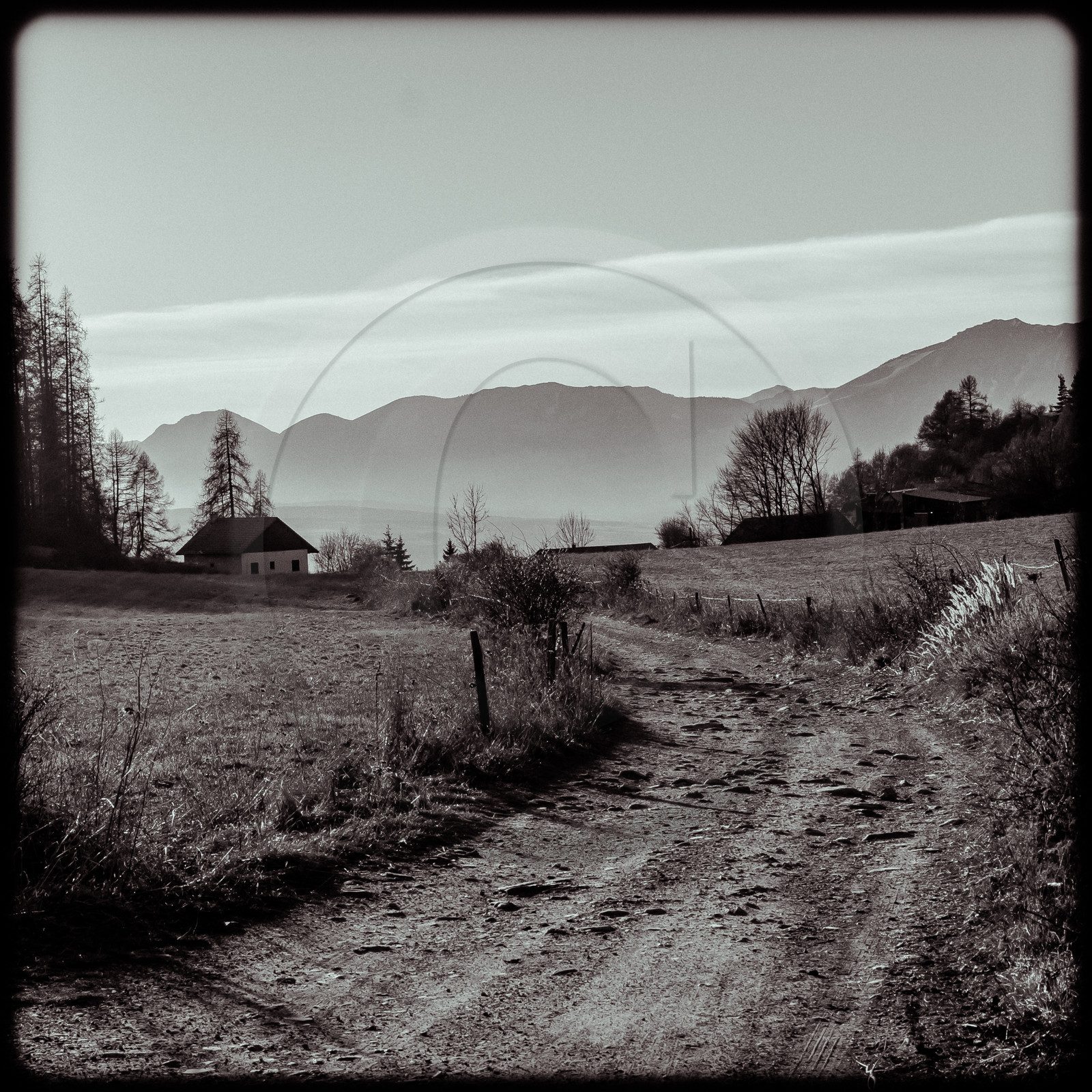 Plateau de la Coche - Champsaur