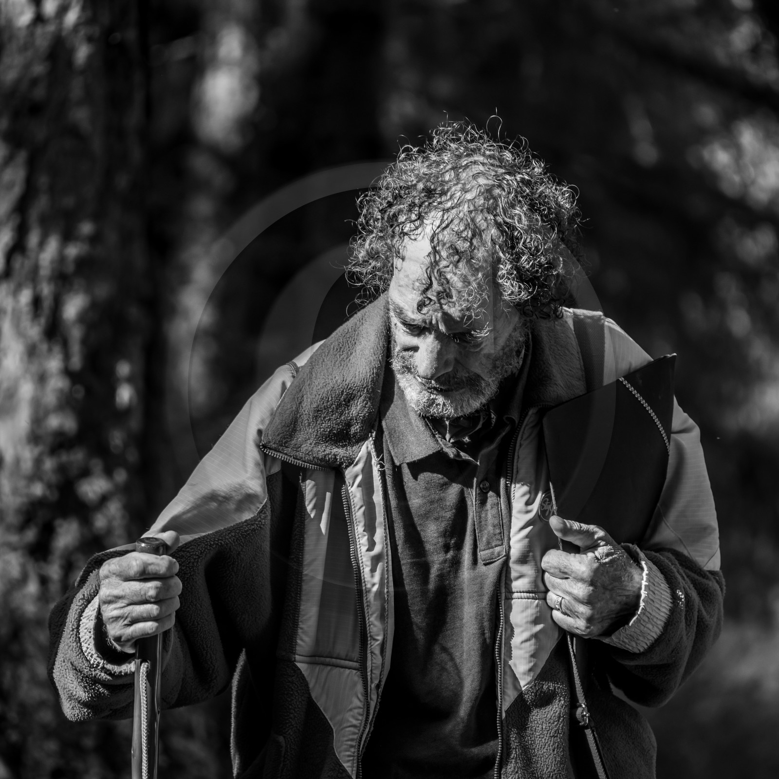 Arpenter le paysage avec Martin de la Soudière