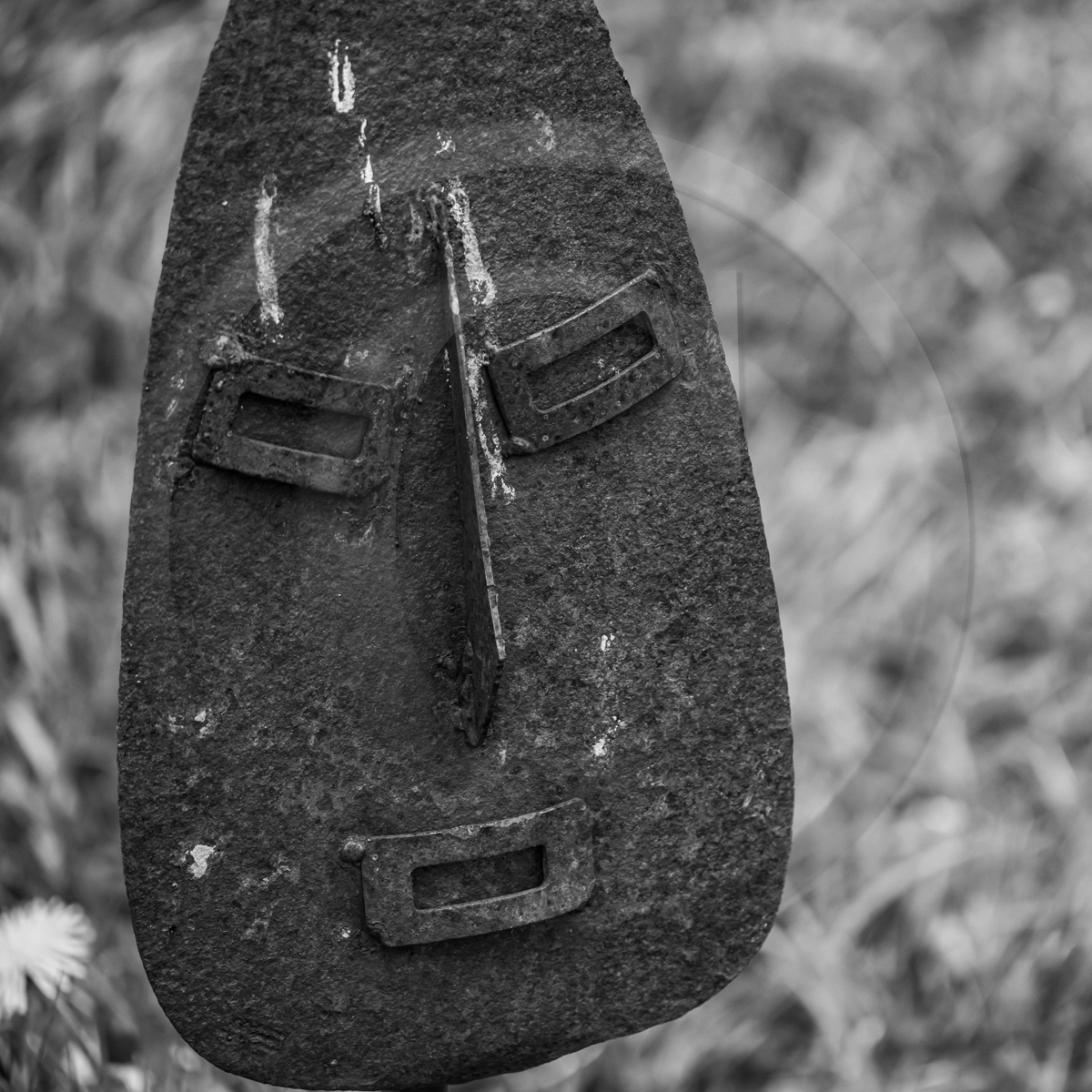 20 avril 2022 : des contes, des pommes de terre et un petit café