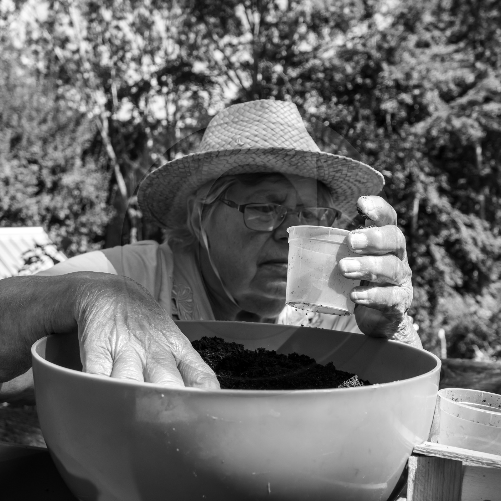 Activités au jardin