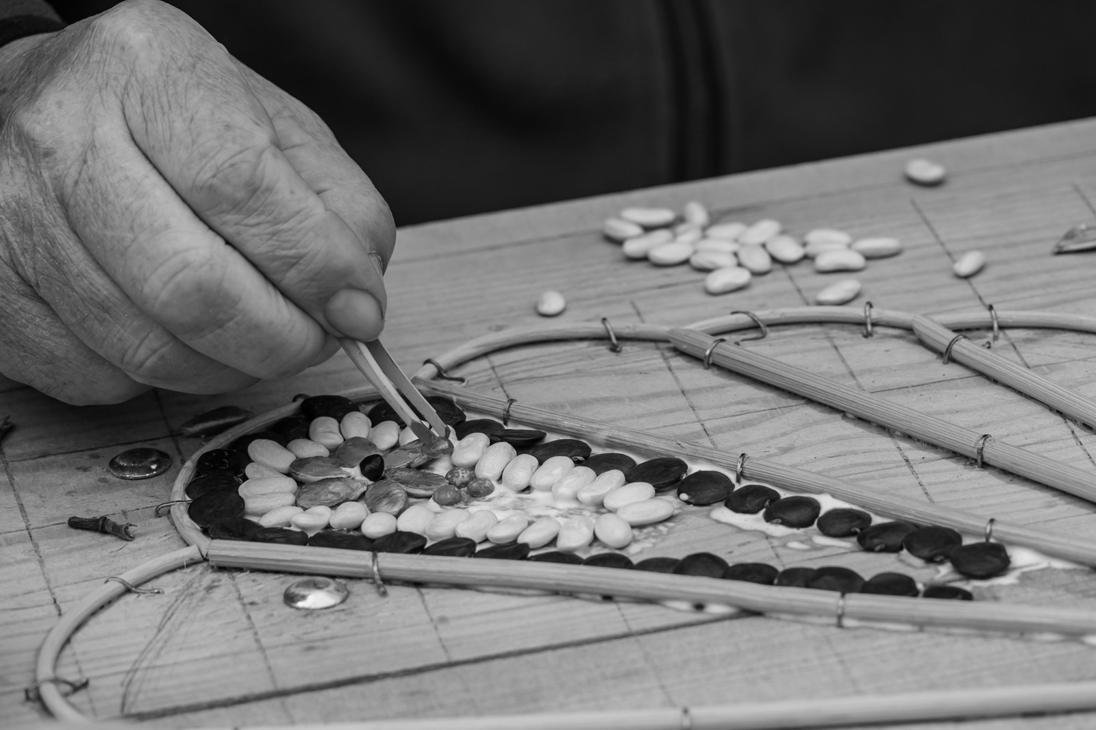 23 avril 2025 : Des oiseaux et des plantes